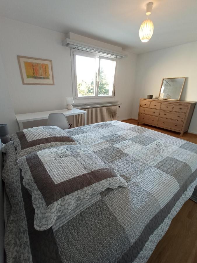 Rare A Colmar - Appartement Champ De Mars Vue Sur Parc - 70M2 - 2 Chambres Dış mekan fotoğraf