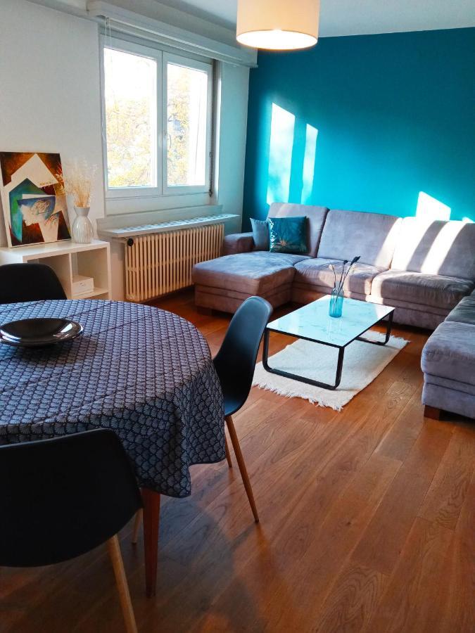 Rare A Colmar - Appartement Champ De Mars Vue Sur Parc - 70M2 - 2 Chambres Dış mekan fotoğraf