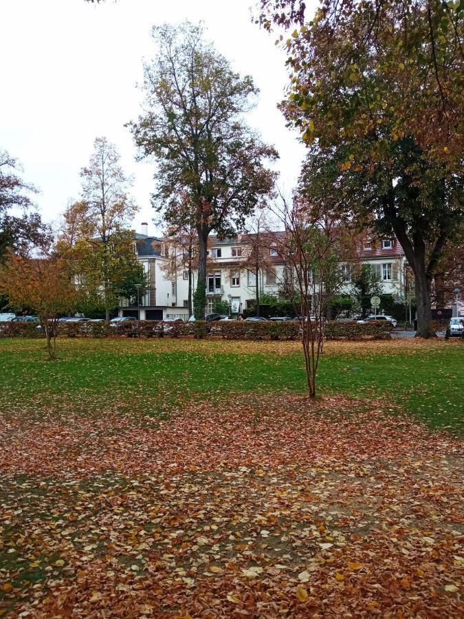 Rare A Colmar - Appartement Champ De Mars Vue Sur Parc - 70M2 - 2 Chambres Dış mekan fotoğraf