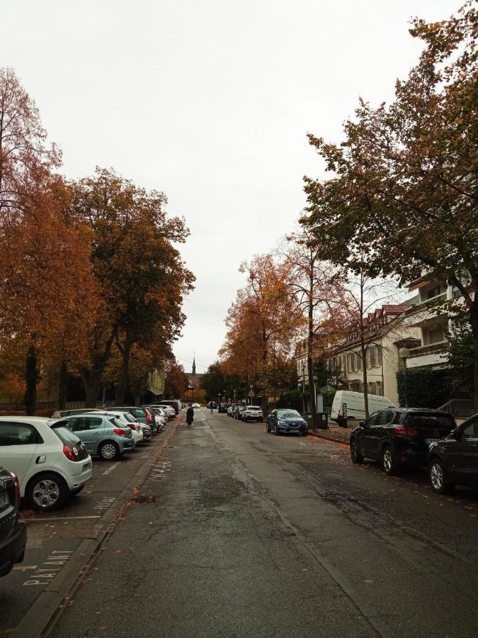 Rare A Colmar - Appartement Champ De Mars Vue Sur Parc - 70M2 - 2 Chambres Dış mekan fotoğraf