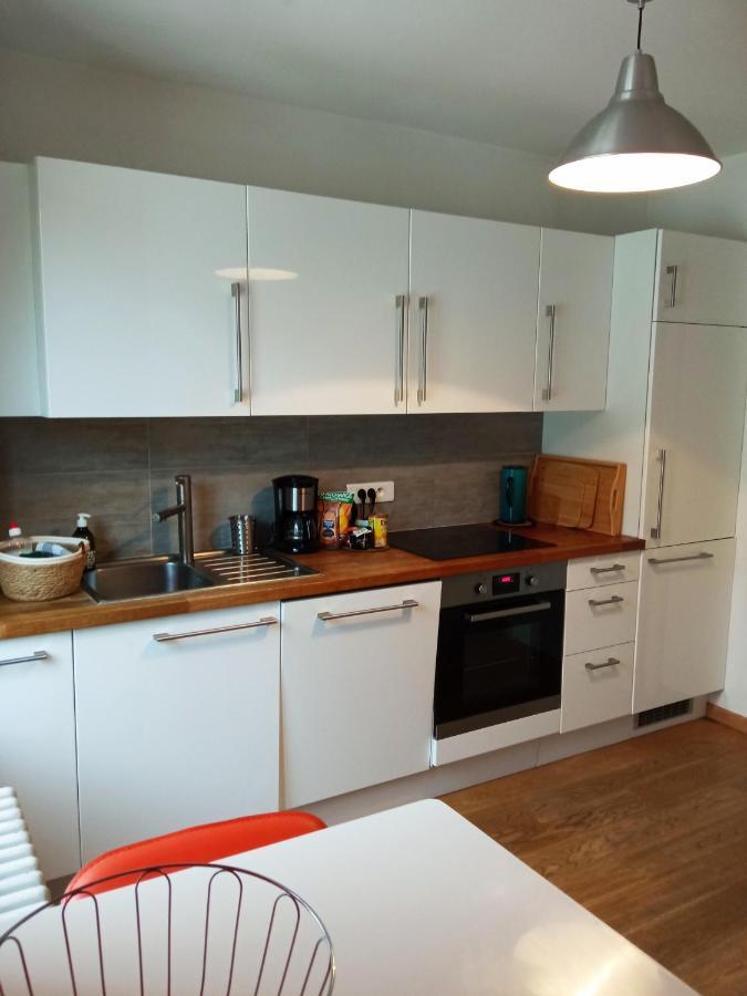 Rare A Colmar - Appartement Champ De Mars Vue Sur Parc - 70M2 - 2 Chambres Dış mekan fotoğraf