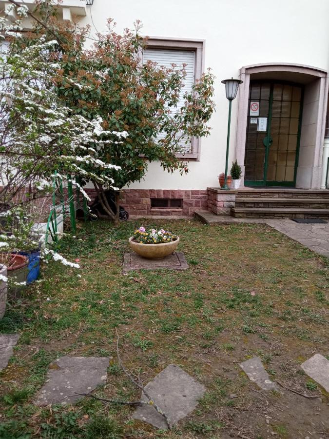 Rare A Colmar - Appartement Champ De Mars Vue Sur Parc - 70M2 - 2 Chambres Dış mekan fotoğraf