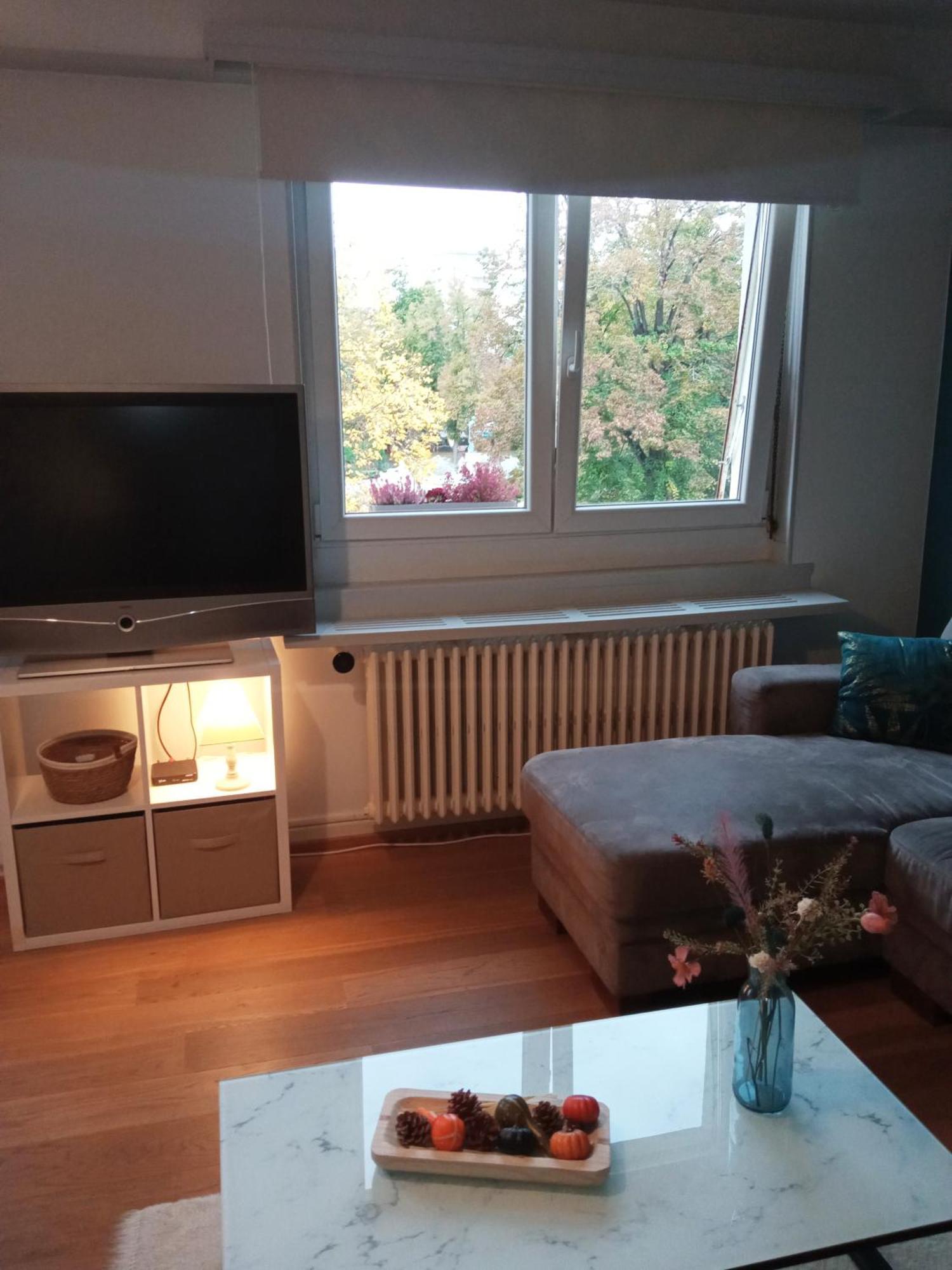 Rare A Colmar - Appartement Champ De Mars Vue Sur Parc - 70M2 - 2 Chambres Dış mekan fotoğraf